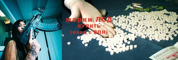 PSILOCYBIN Верея